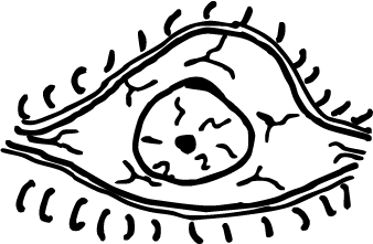 Isöga