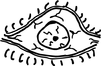 Isöga
