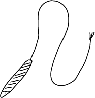 Venus piska